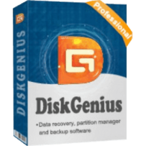 DiskGenius Professional Crack