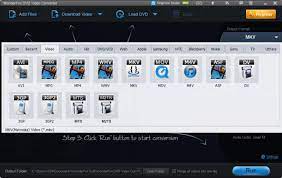 WonderFox DVD Video Converter Crack